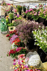 Flower stall at Marché Saxe-Breteuil